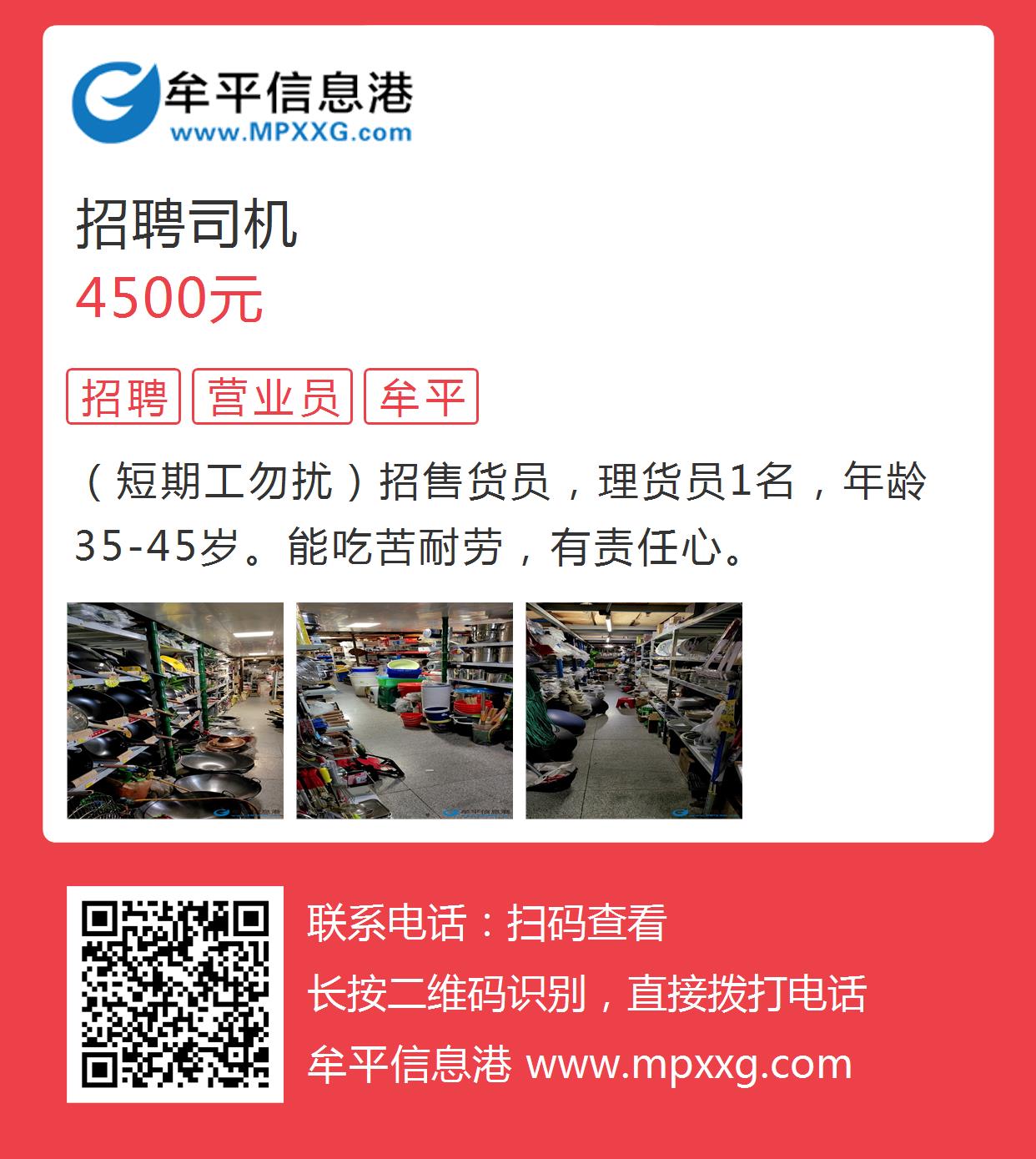 平原信息港最新司机招聘启事，司机招聘信息全面更新