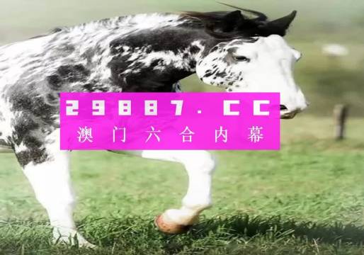 香港内部最准的一肖一码,前沿解答解释落实_挑战版18.207