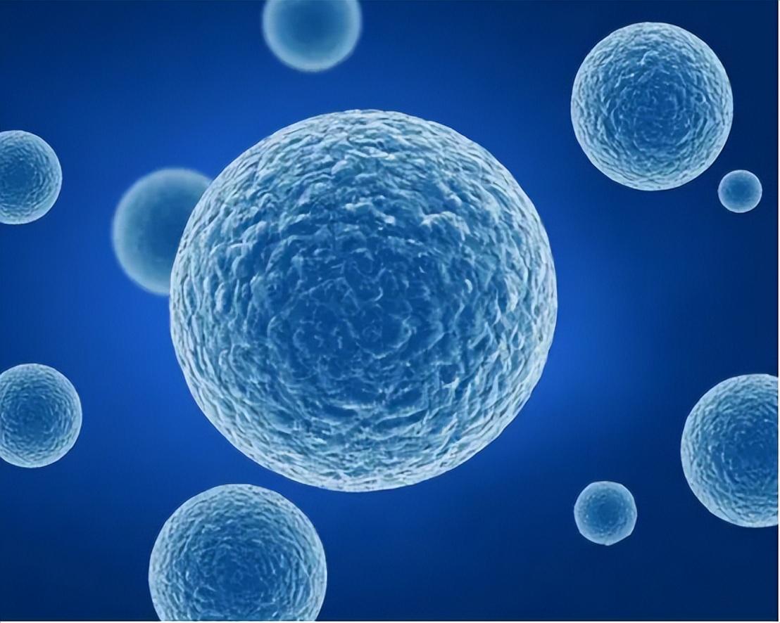 最新的降脂药,最新降脂药大解密💊告别高血脂,轻松生活!