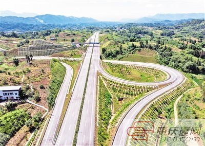 杀鸡儆猴 第7页