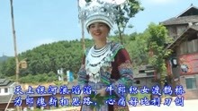 最新上传的小菜花山歌,精准解答方案详解_传递版9.91.522