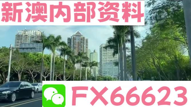新澳精准资料免费提供网站,重要性解析措施_VR版63.08