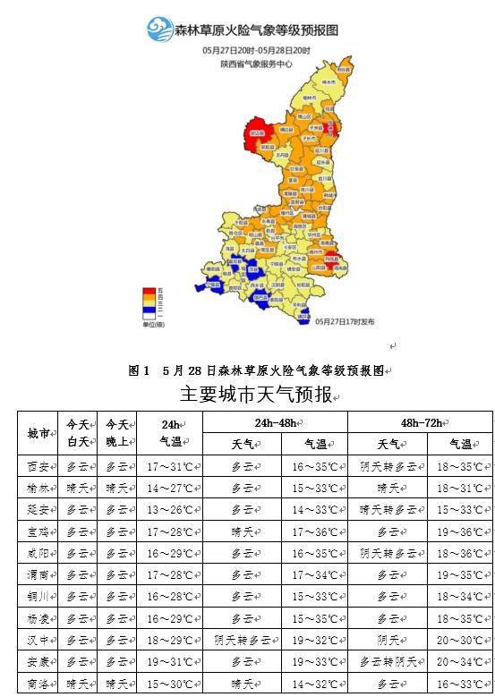 粗枝大叶 第3页