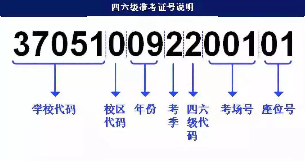 2024新奥资料免费精准109,海参十问十答全面解答_散婴QLK863.665