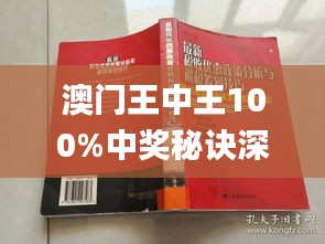 澳门王中王100%中奖预测，深度解析版ABY898.18预览