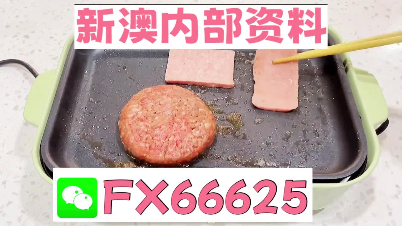 澳门今晚一码中特，专业执行揭秘_珍藏版VQR300.36