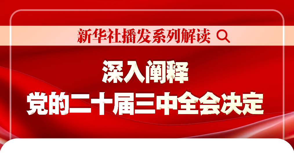 二四六管家婆资料精粹：现代化阐释深度解析_AYW68.236影版