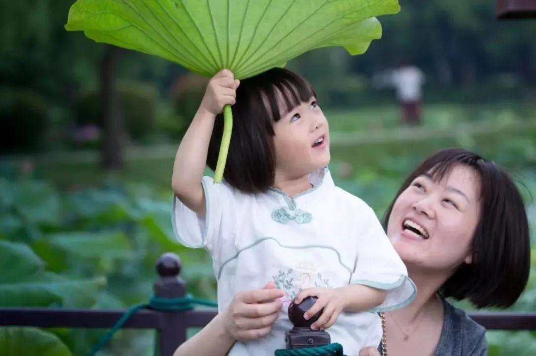 ​​🌺黎明风和庭院最新状态🌿