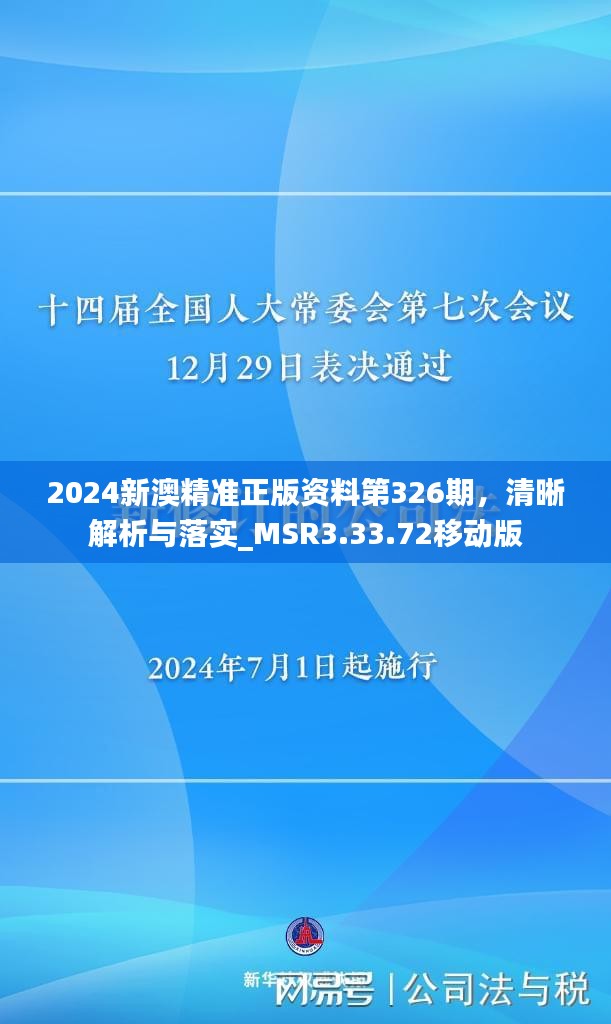 2024新澳精准正版资料,社会承担实践战略_WVB94.291超高清版