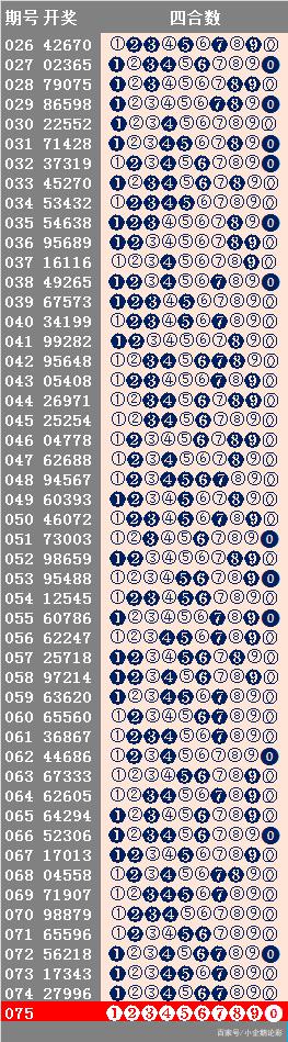 新奥码开奖结果查询,实践调查说明_HPU94.936投资版