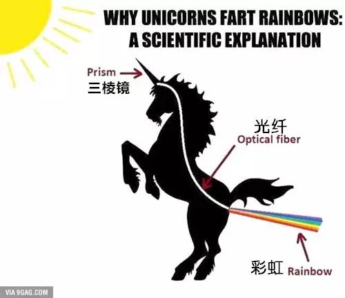 香港开奖结果+开奖记录(2),科学分析解释说明_SAW77.330知晓版