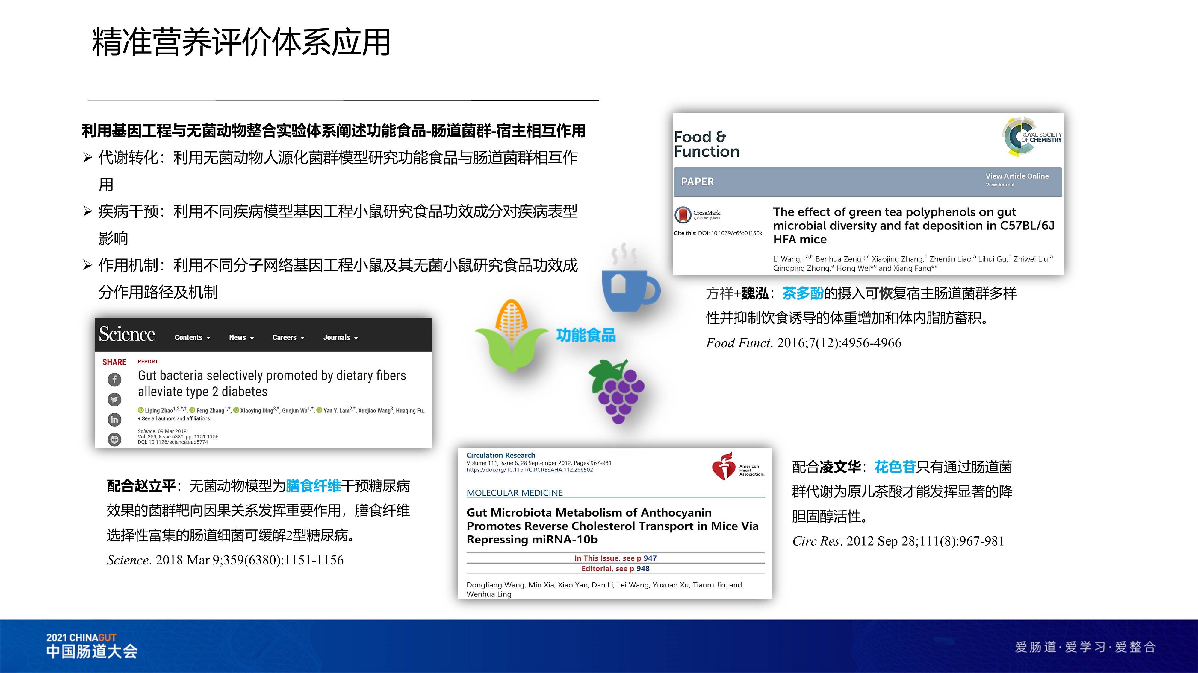 49218009.соm查询新澳开奖结果,数据详解说明_GNA34.917跨界版