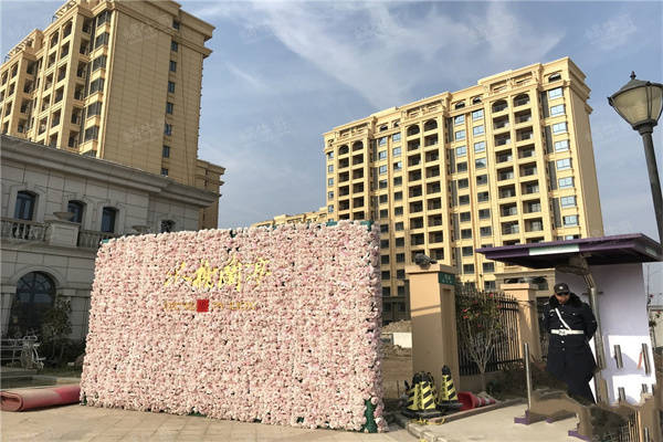 77778888管家婆必开一期,全面设计解析策略_kit21.191