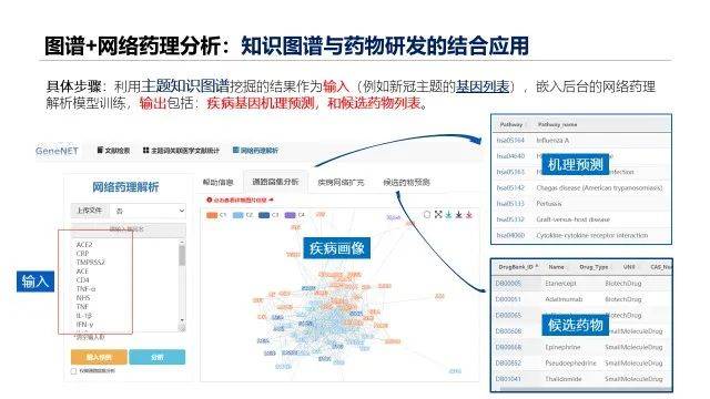 新澳精准资料免费提供305,资源部署方案_KBN23.425神秘版