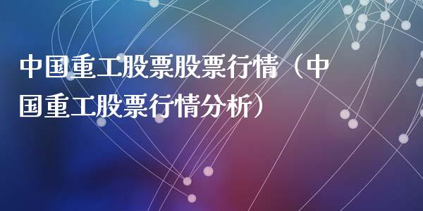 中国重工股票最新公告详解，如何获取并分析信息