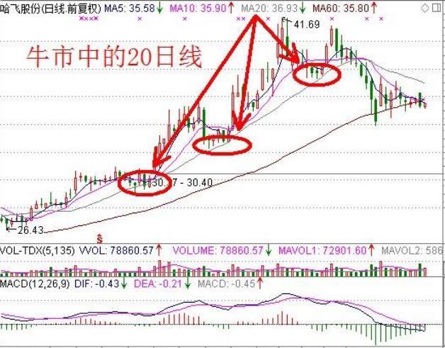 2024澳门特马今晚开奖53期,市场需求解析_时尚版74.220