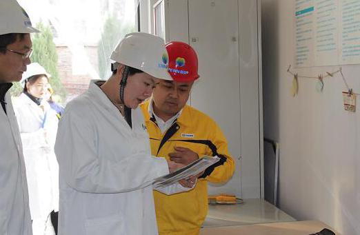 新奥天天正版资料大全,数据引导设计方法_跨界版55.313