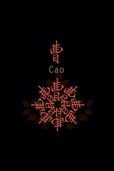 最新曹姓壁纸大赏✨