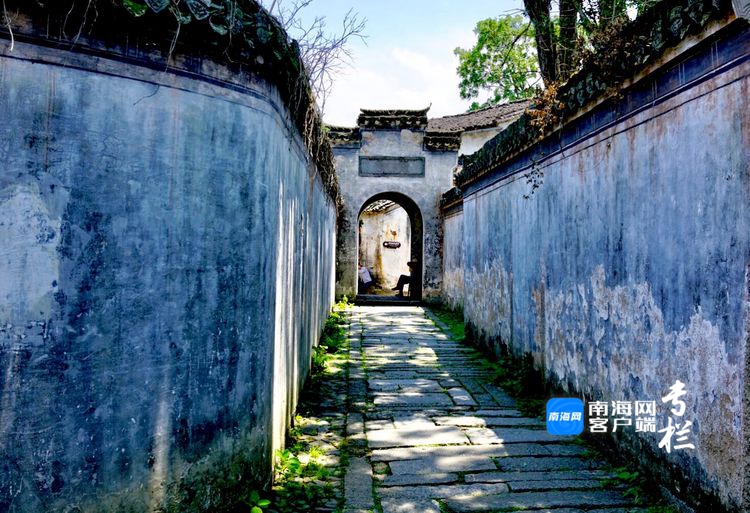 最新网络热潮，小巷深处的惊喜——探索隐藏版特色小店