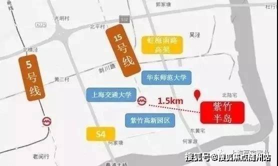最新网站地址，友情与家庭的奇妙连结