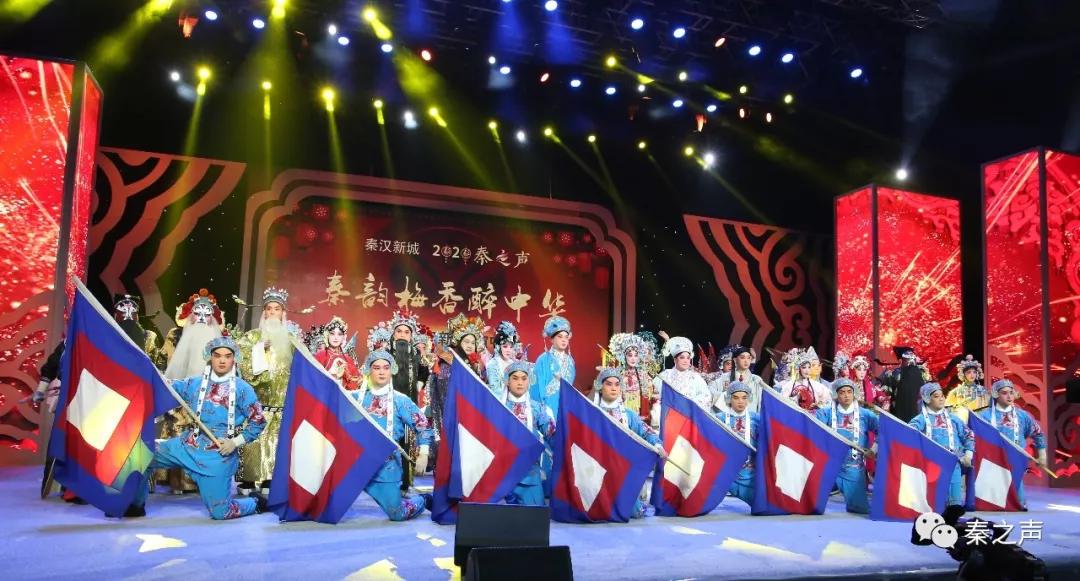 秦腔演员卫小莉,传统艺术的璀璨明珠