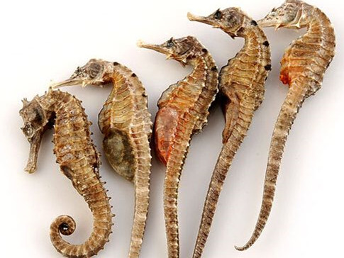 2024年12月 第8页