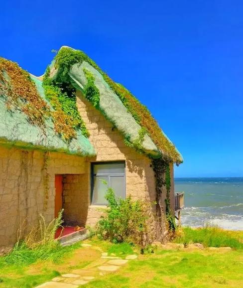 看图识明星，探秘小巷中的星光特色小店