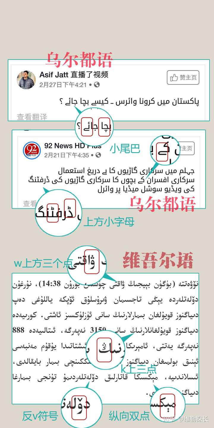 囫囵吞枣 第2页