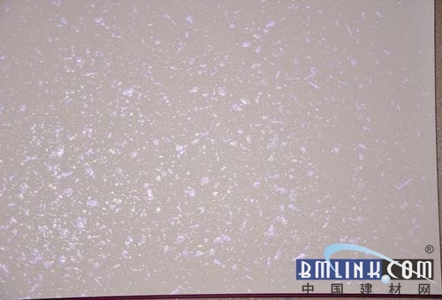 MBI最新动态，引领科技新潮流，改变生活品质