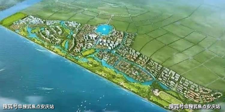 米多多最新，全面解析其优势与挑战