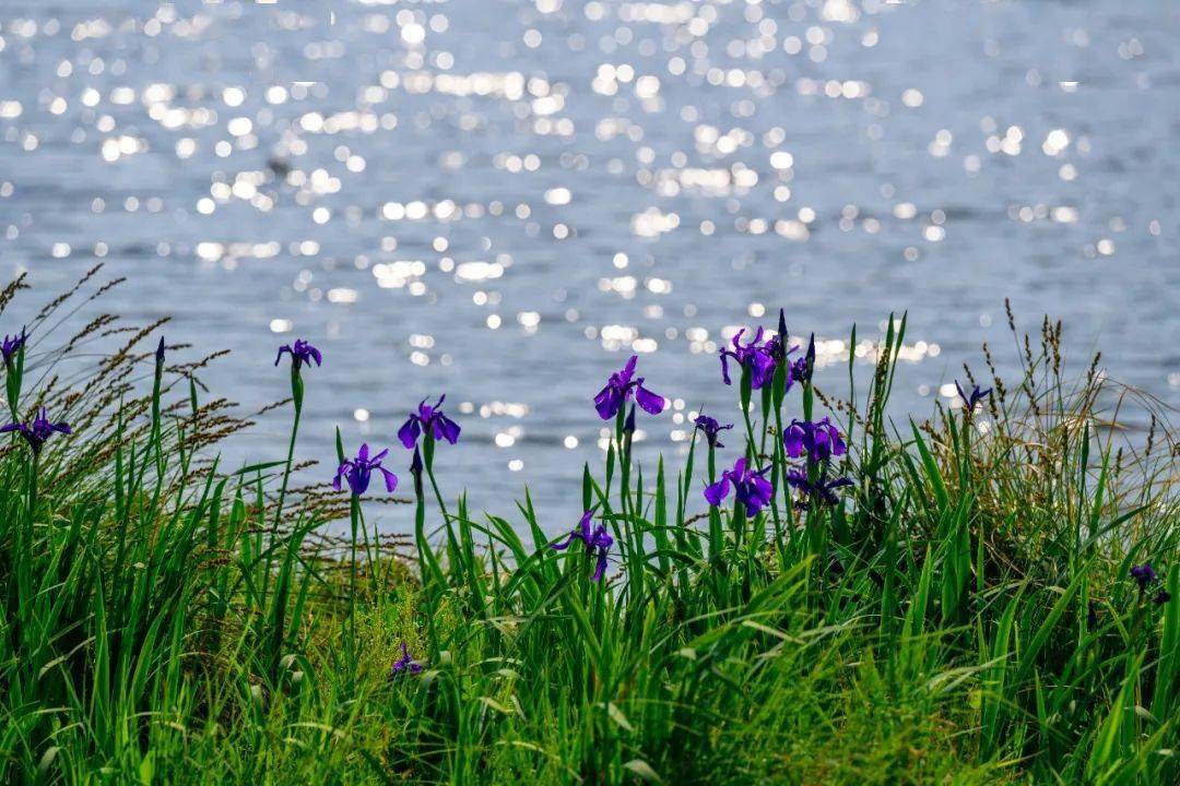 灵璧最新宣判，大自然喊你开启心灵之旅