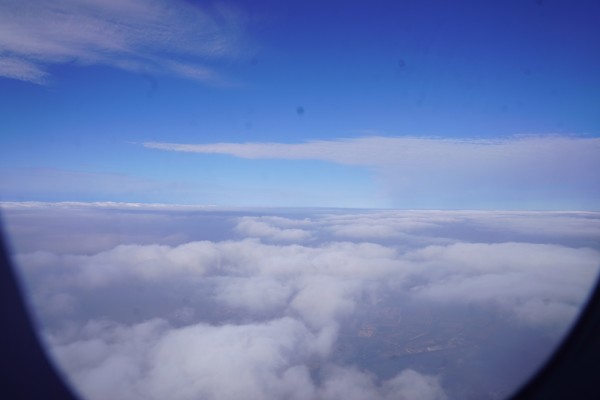 以德报怨最新，一场与自然美景的浪漫旅行