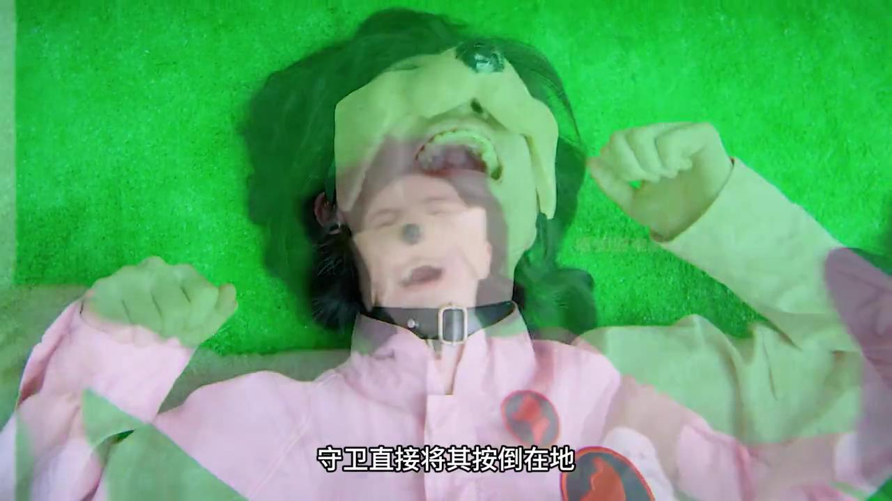 翠花狗最新，如何饲养与照顾狗狗的详细步骤指南