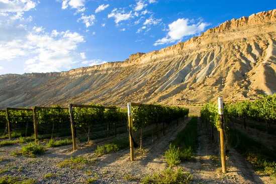 最新企业拆迁，一场探索自然美景的旅行