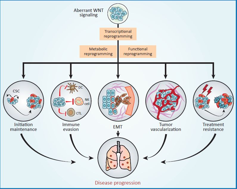 最新年对，探讨发展的双刃剑效应