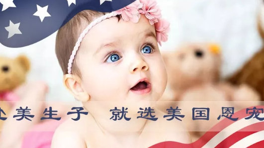 赴美生子最新，巷弄深处的孕育秘境