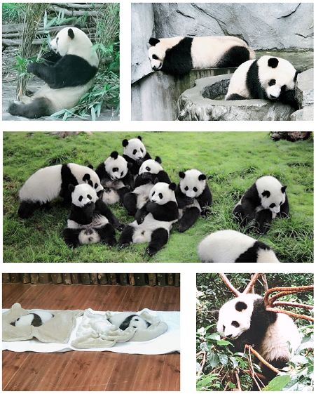 最新价格资讯，洞悉市场动态，把握商机