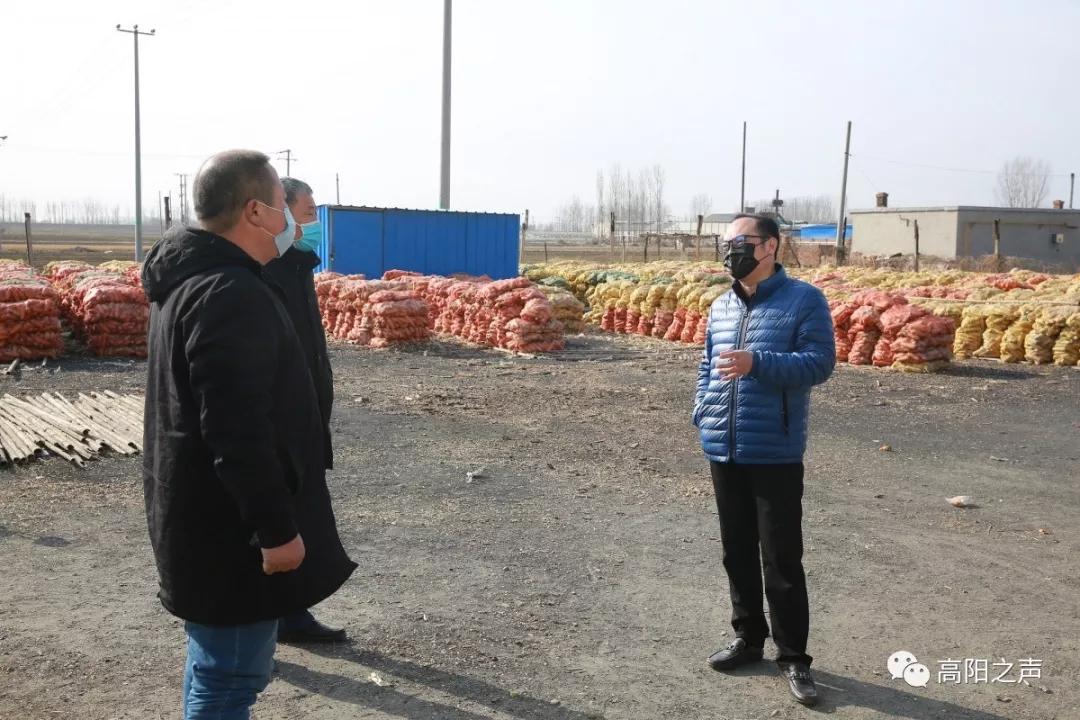 高阳最新疫情，回顾与洞察