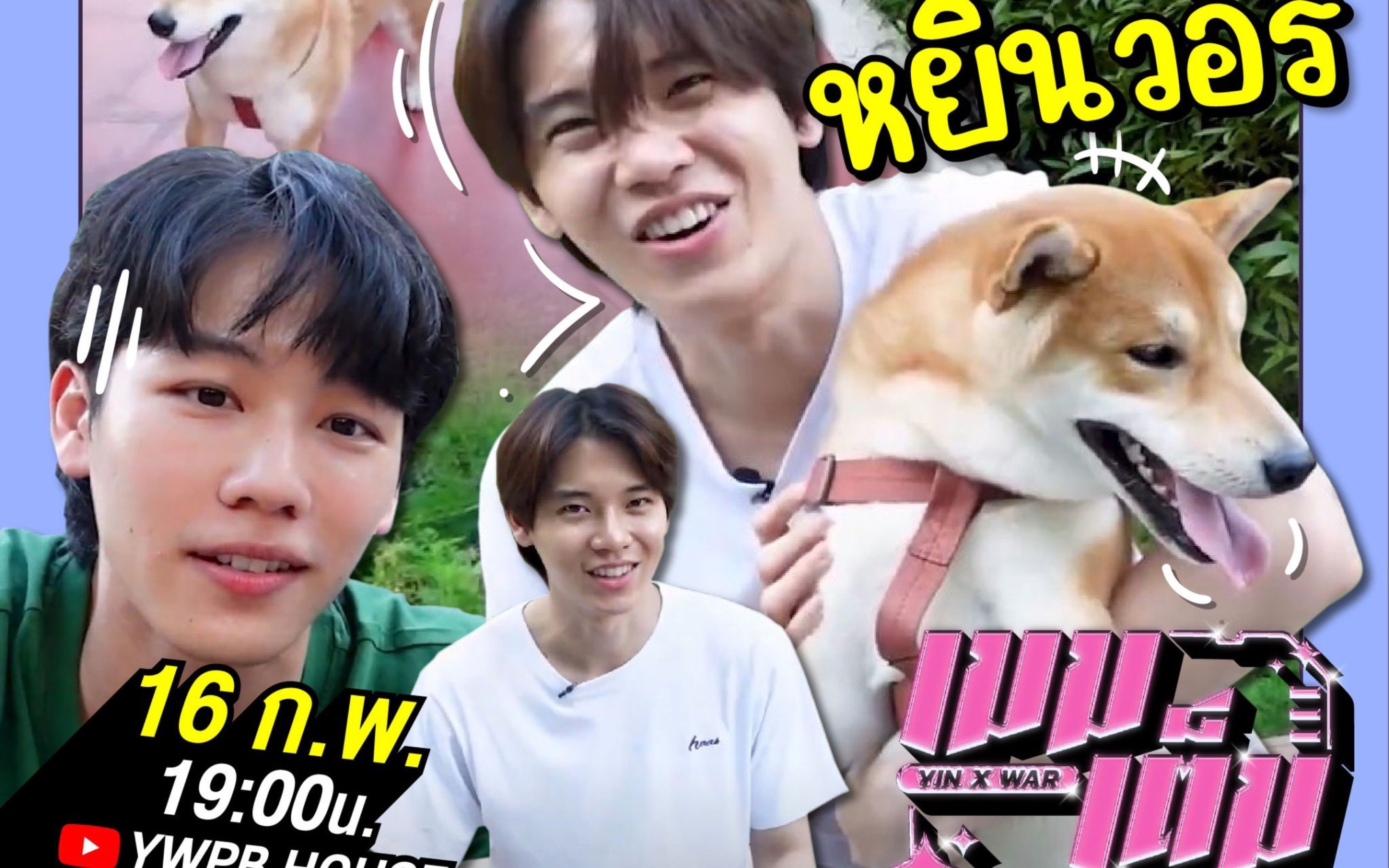 Yinwar最新综艺节目，探索时代的新篇章