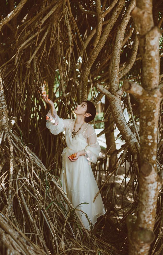 果货最新，一颗果子的奇幻旅程与友情印记