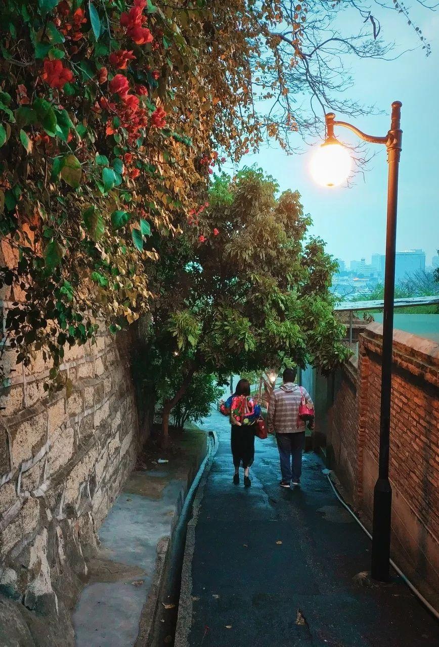 2025年6月 第71页