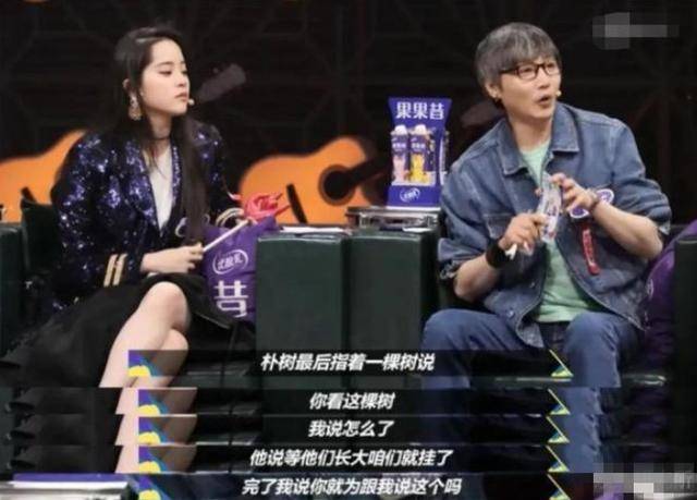 朴树最新综艺，科技与生活的前卫融合，引领新时代的视听盛宴