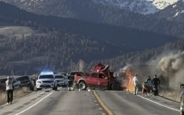 最新死亡情况？不存在的！我们在路上的生命之旅如此美妙